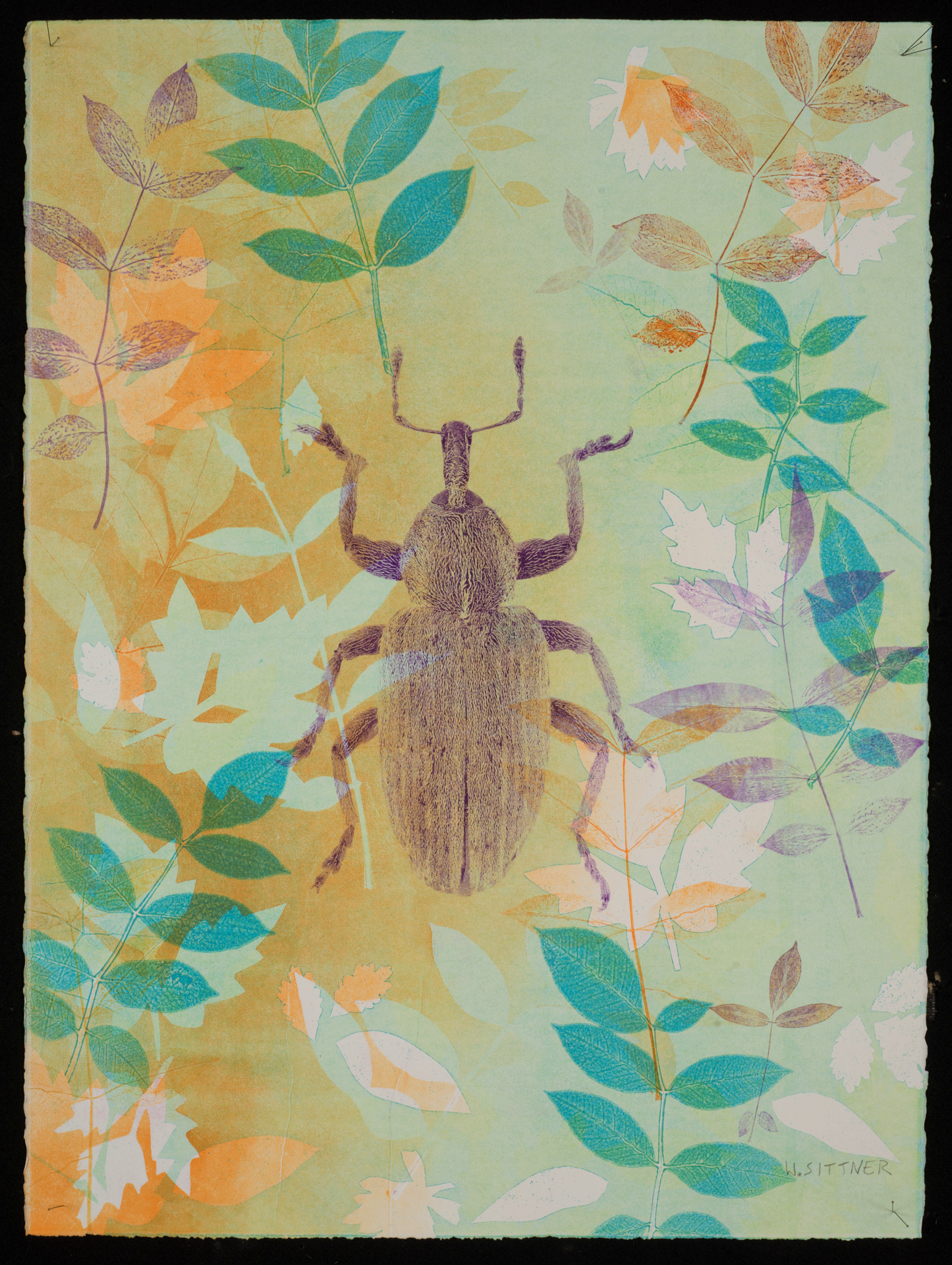 On Display, 30×22″