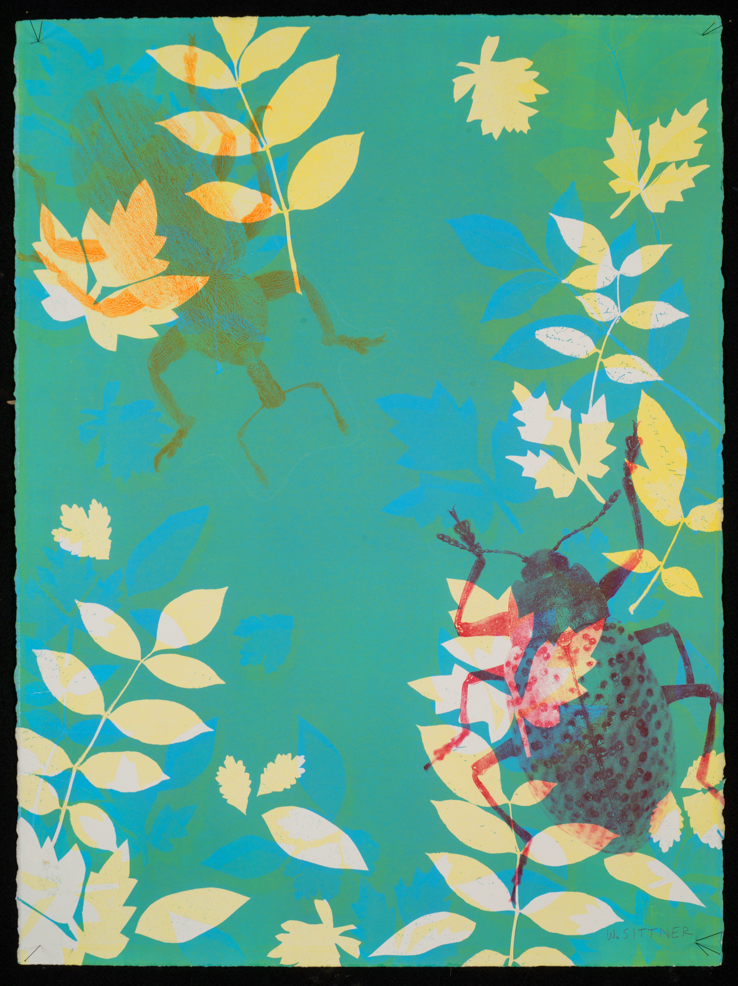 Meet Me In The Middle, 33×22″